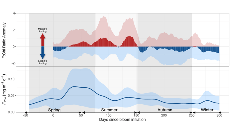 Seasonal Iron Cycle and Production in the Subantarctic Southern Ocean
