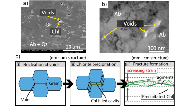 Creep Cavitation May Lead to Earthquake Nucleation