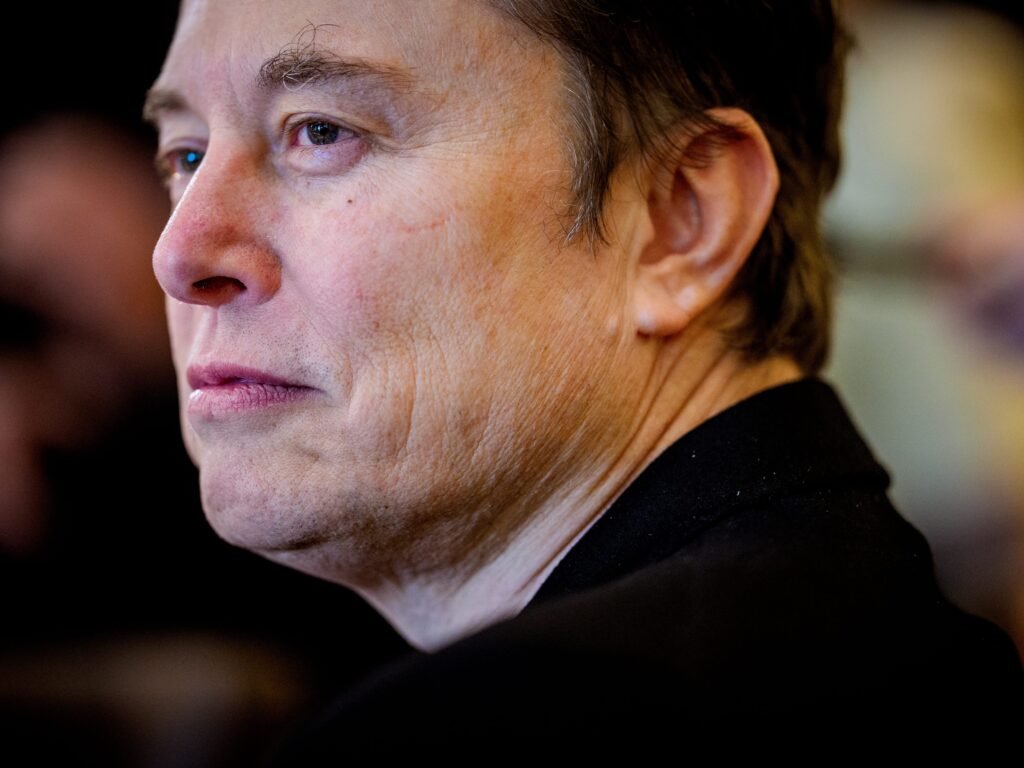 Tesla's chair denies the EV giant considered replacing Elon Musk as CEO