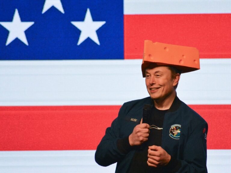 Elon Musk says DOGE is 'a way of life, like Buddhism' and could last until 2029