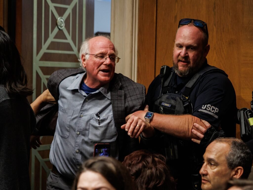 Video shows Ben & Jerry's cofounder being removed from Senate committee hearing and arrested after Gaza protest