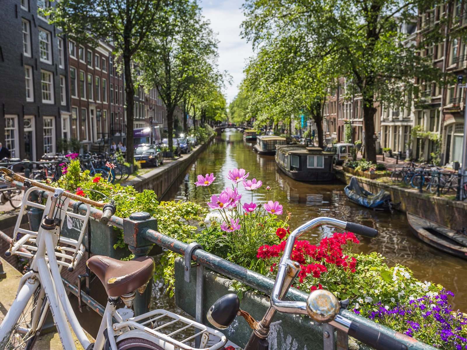 I've lived in the Netherlands for 10 years. Here are the 6 biggest mistakes I see tourists make.