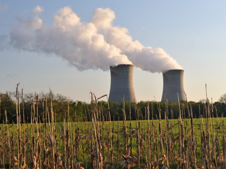 Nuclear power is having a renaissance. Here's what consultants say about the industry's future.