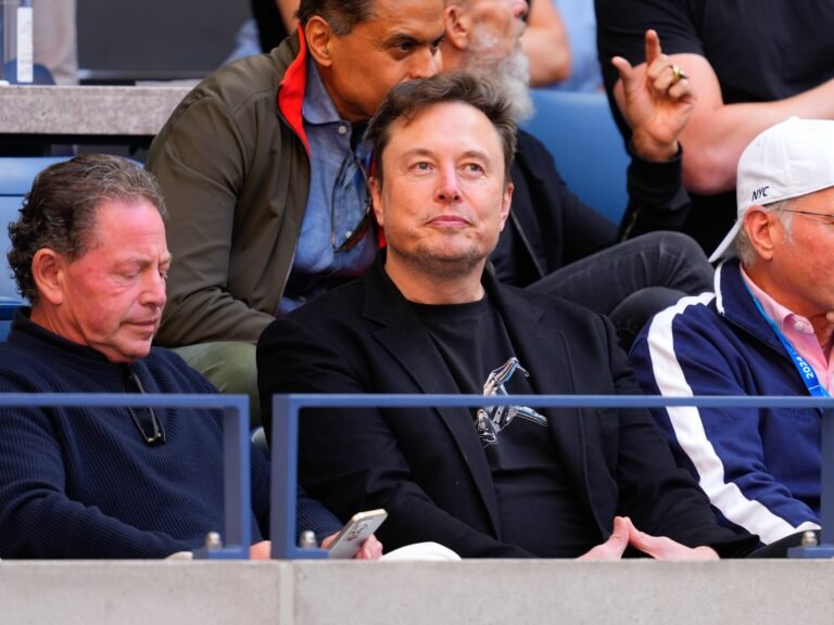 Billionaire Barry Diller said Elon Musk's popularity decline was 'swift' since they shared a box at the US Open