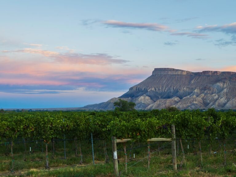 I've lived in Colorado for 4 years and explored over a dozen small towns. My favorite hidden gem involves wine, camping, and gorgeous hiking.