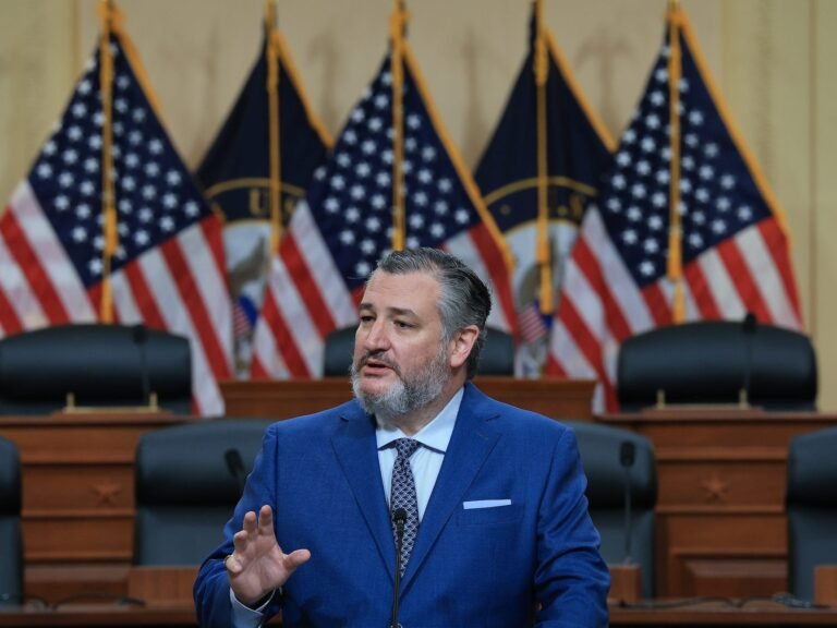 Ted Cruz says he doesn't mind that his $1,000 investment account plan for babies is now called 'Trump accounts'