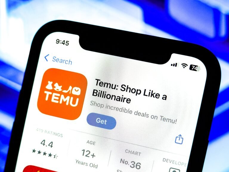 Temu's owner saw a nearly 40% profit slump, thanks in part to Trump's tariffs