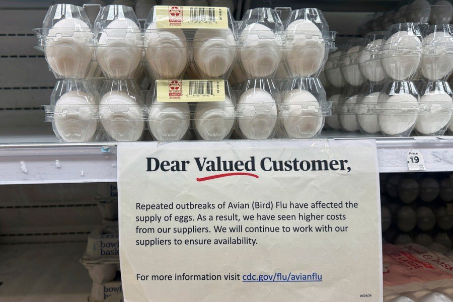 No, egg farmers are not the bad guys: The real reason egg prices spiked this winter
