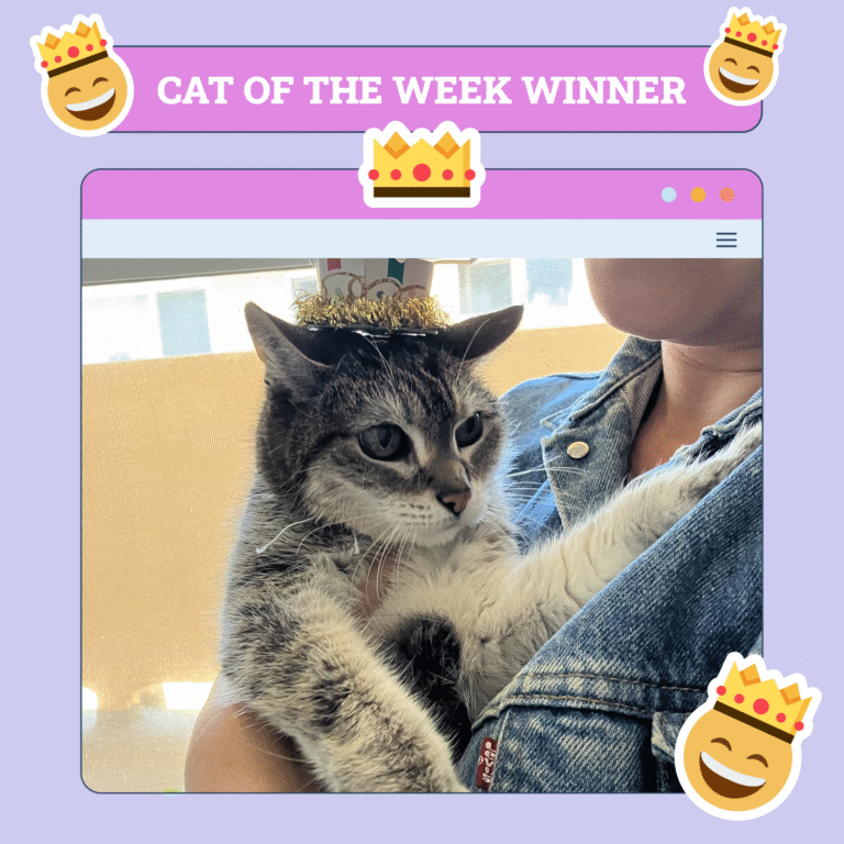 Catster Photo Contest: Cats of the Week Winners (May 08, 2025)