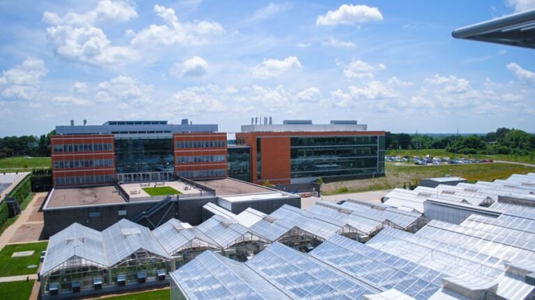 Danforth Technology Center launches gene-editing startup Spearhead Bio to solve ‘a major obstacle with CRISPR’