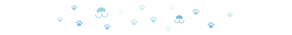 How Do Dogs Feel After Grooming? Facts & Vet-Verified Tips to Help
