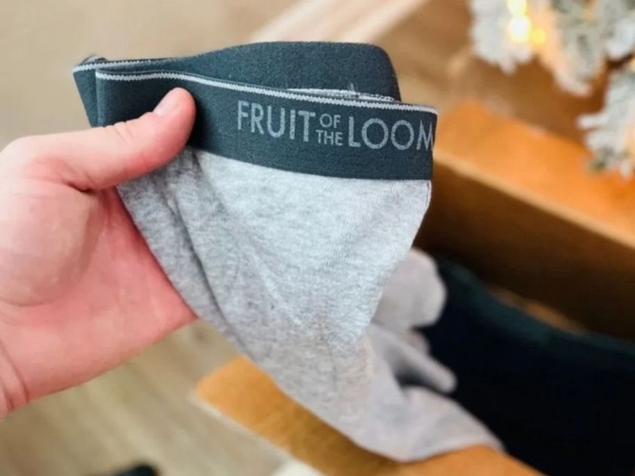Fruit of the Loom Boxer Brief 5-Pack Just $8 on Walmart.com (Reg. $19)