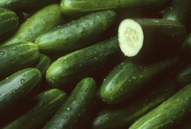 Salmonella outbreak: Cucumber products sold at Walmart, Kroger stores recalled