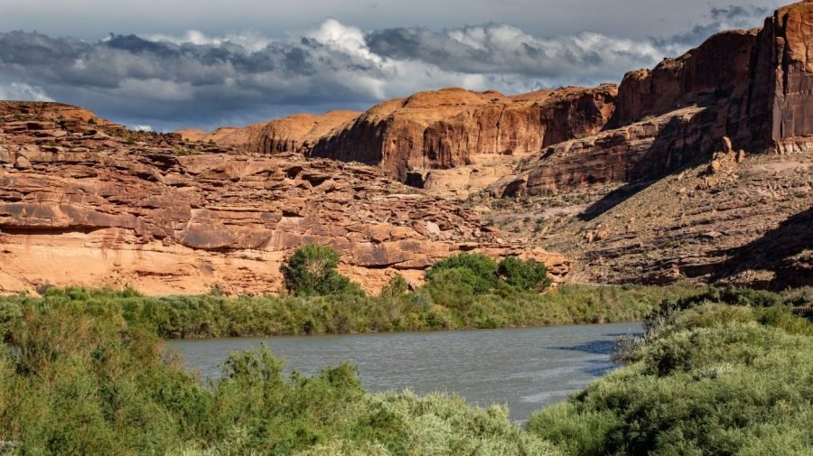 Water groups press Trump administration to stop Colorado River water waste