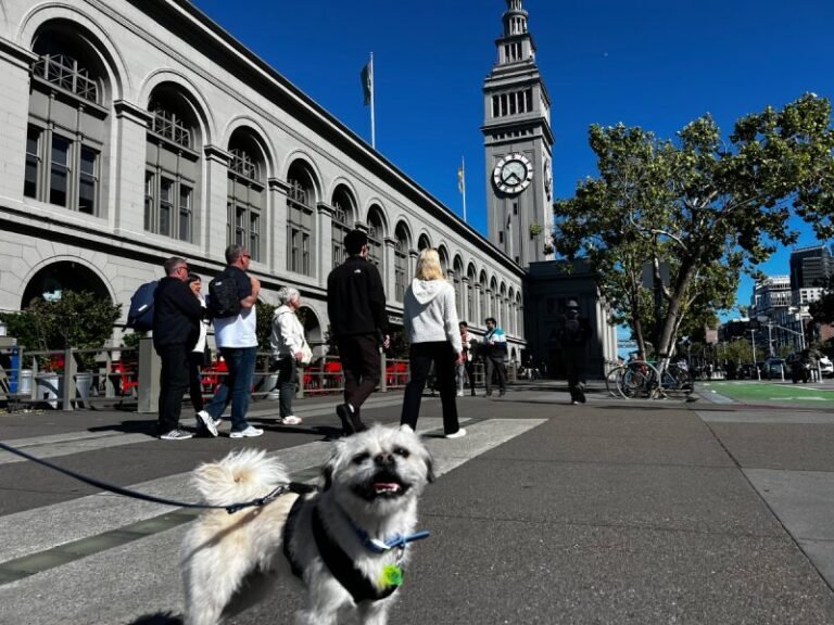 Step Right Up: Tours by Gizmo