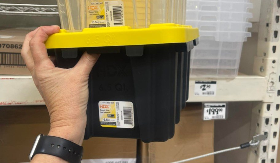 These $2.50 Home Depot Storage Totes Are Going Viral (Grab Yours Before They Sell Out!)