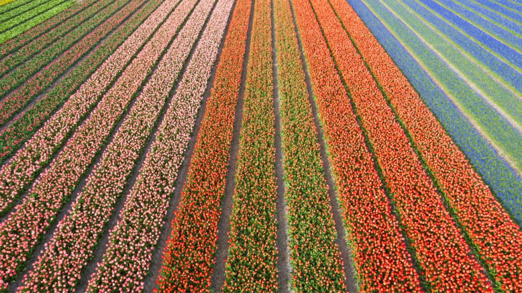 This mindset can get agriculture off the commodity rollercoaster