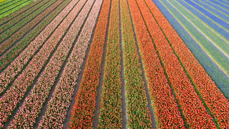 This mindset can get agriculture off the commodity rollercoaster