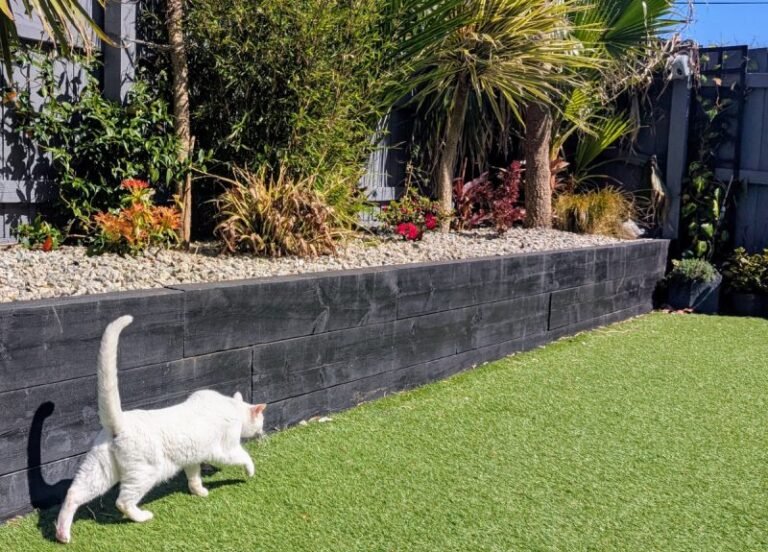 The Cat Grass Conundrum: Clutch’s Fetish For Foliage