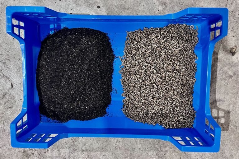 Can InsectBiotech crack the code on insect ag economics by tapping into Spain’s olive waste?