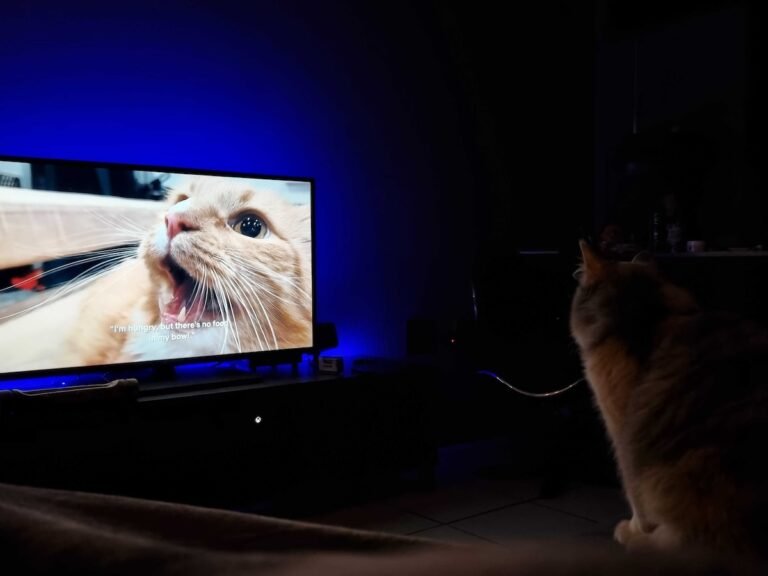 Catflix & Chill: The Wednesday Cats of Catster Watch TV