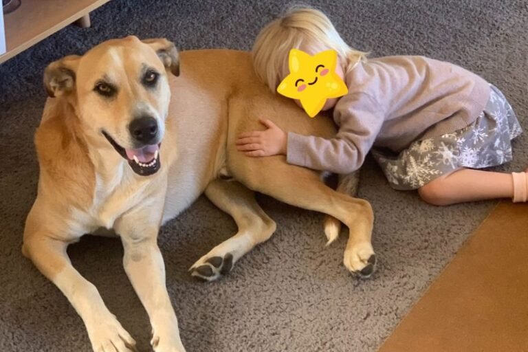 Dogs & Toddlers: Rosa’s & Mac’s Best Human Friend