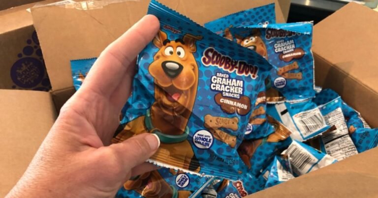 Scooby-Doo Graham Cracker Snacks 40-Pack Only $13.58 Shipped on Amazon