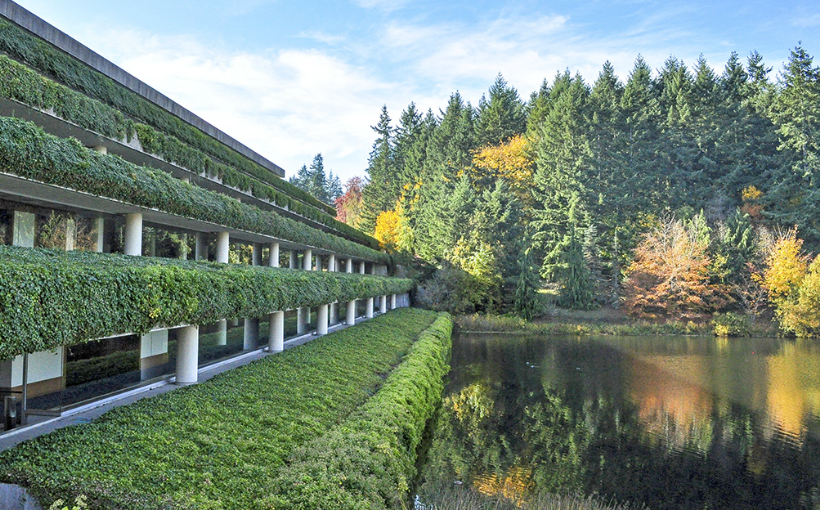 Seattle-Based Weyerhaeuser Acquires Timberlands in NC, VA