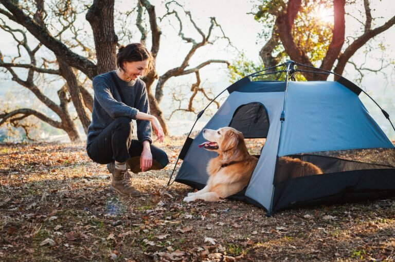 Top 5 Outdoor Summer Activities to Enjoy with Your Dog