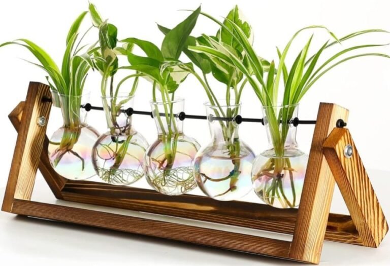 Propagation Station Only $10.49 on Amazon (Reg $22) – Cute & Functional Decor!