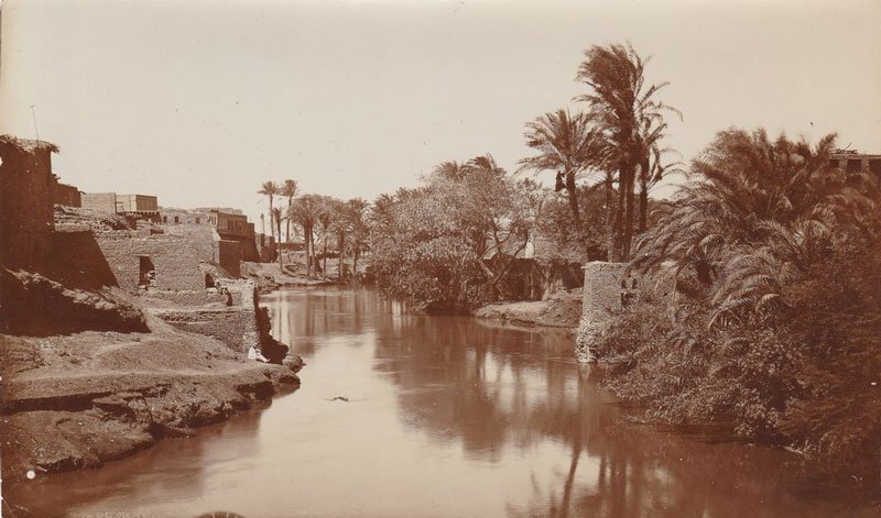 Georg Schweinfurth and Egyptology at the Neues Museum