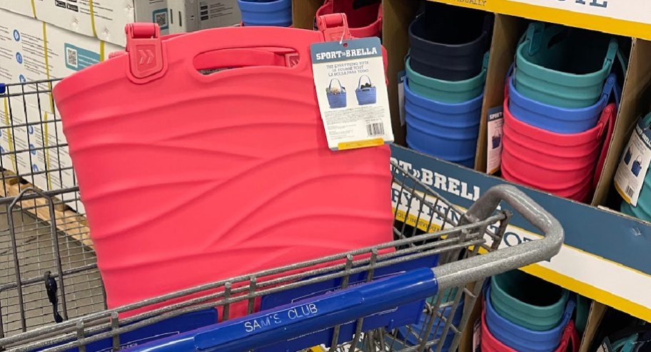 The 9 Best Bogg Bag Alternatives Starting at $15