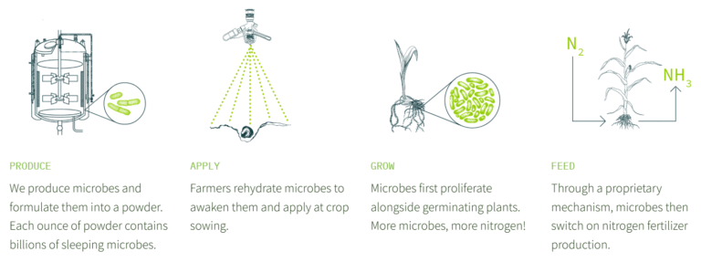 Switch Bioworks: ‘Just replacing 25% of nitrogen fertilizer with biologicals at yield parity would be game changing’