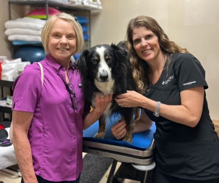 Free Eye Exams and Health Checks for Hundreds of Service Dogs