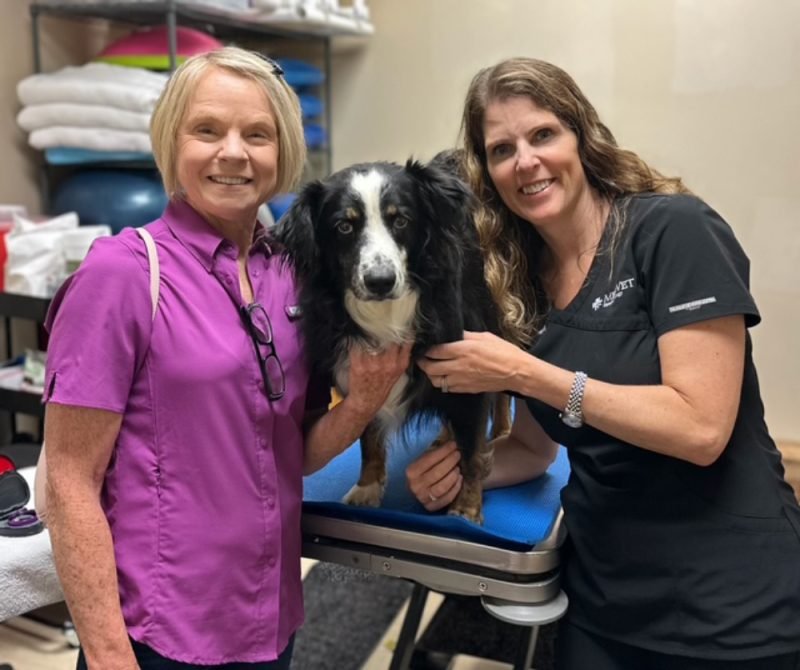 Free Eye Exams and Health Checks for Hundreds of Service Dogs