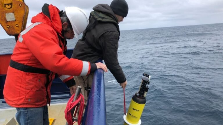 Robotic Floats Quantify Sinking Carbon in the Southern Ocean