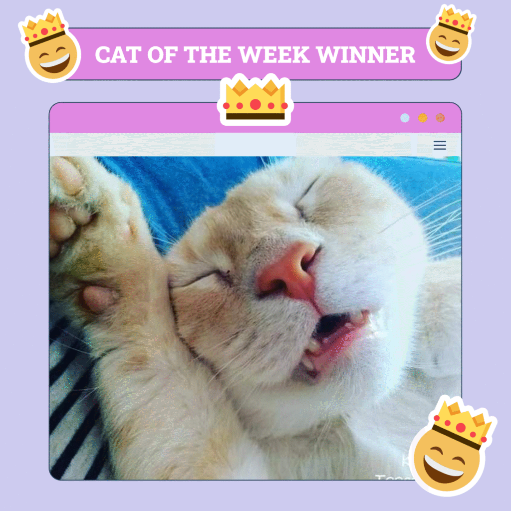 Catster Photo Contest: Cats of the Week Winners (May 22, 2025)
