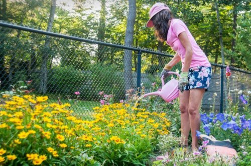 How To Make A Chaos Garden That Actually Blooms, According To An Expert