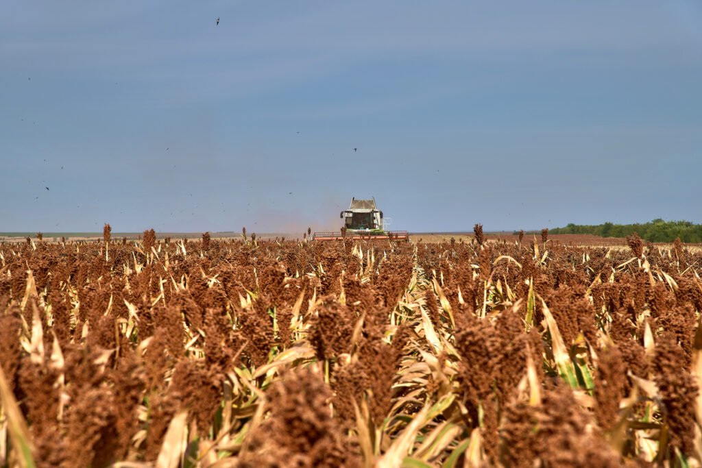 How Farmers Edge and National Sorghum Producers are removing friction from sustainability reporting
