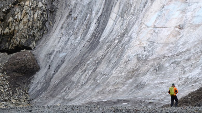 Newly Discovered Algae May Speed Melting of Antarctic Ice