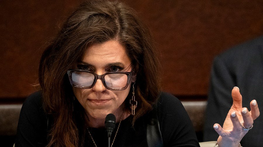 In hearing, Mace shows 'naked silhouette' screenshot she says was recorded without her consent