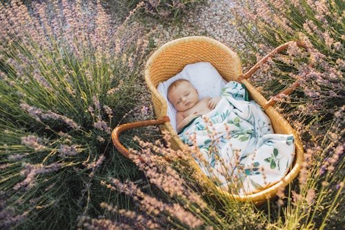 23 Safe Haven Baby Names, Because They Are Trending In The U.S.
