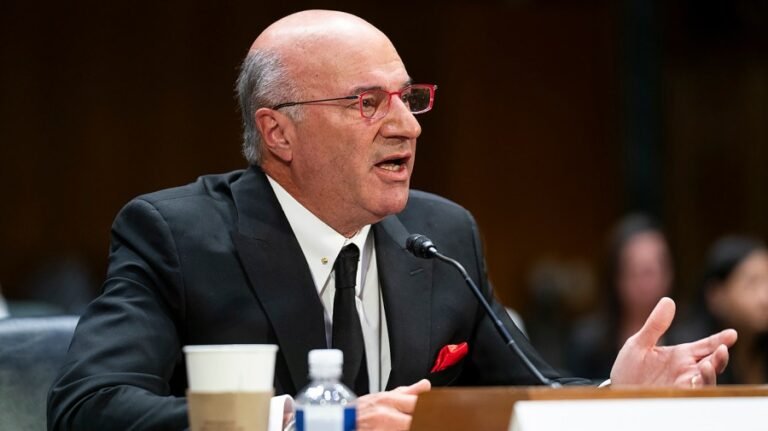 O'Leary bashes Trump's 'stupid' Harvard foreign student crackdown