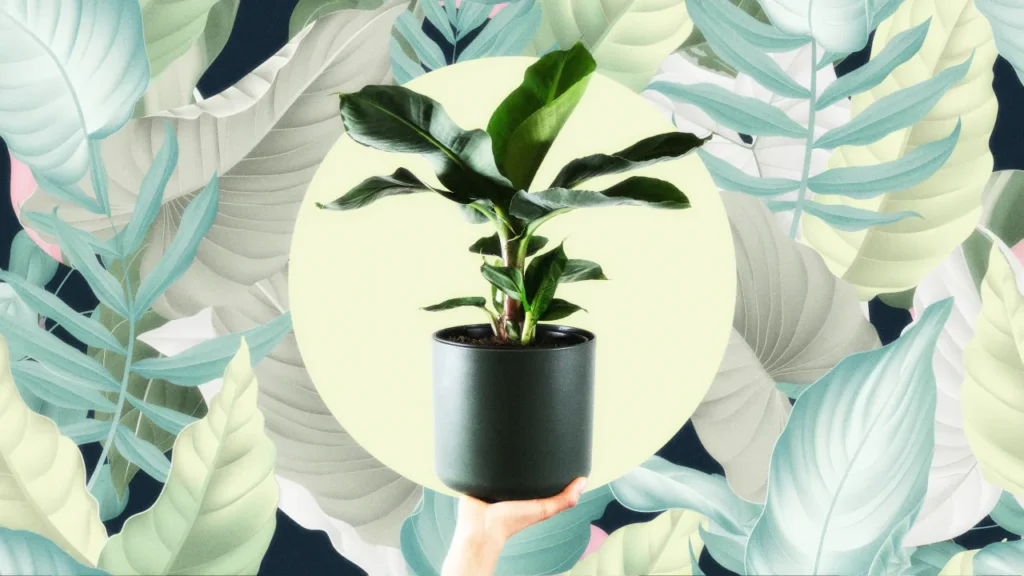 How bringing nature into your workspace can jump-start productivity
