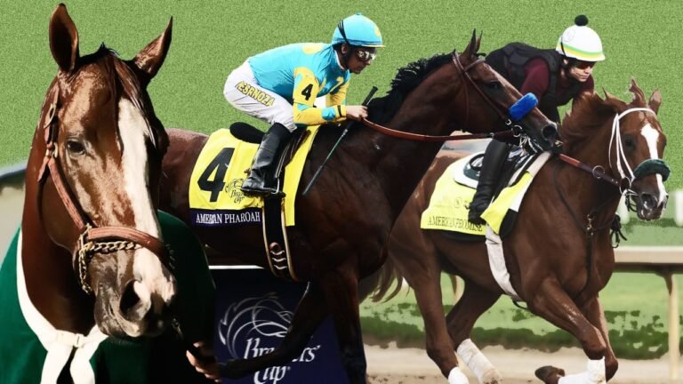 11 reasons why racehorses end up with such weird names