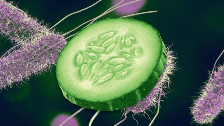 Cucumber recall 2025: Salmonella outbreak spreads to 15 states, sickens dozens as CDC issues new warning