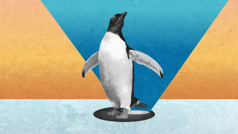 Why penguin poop might be protecting Antarctica from rising temperatures
