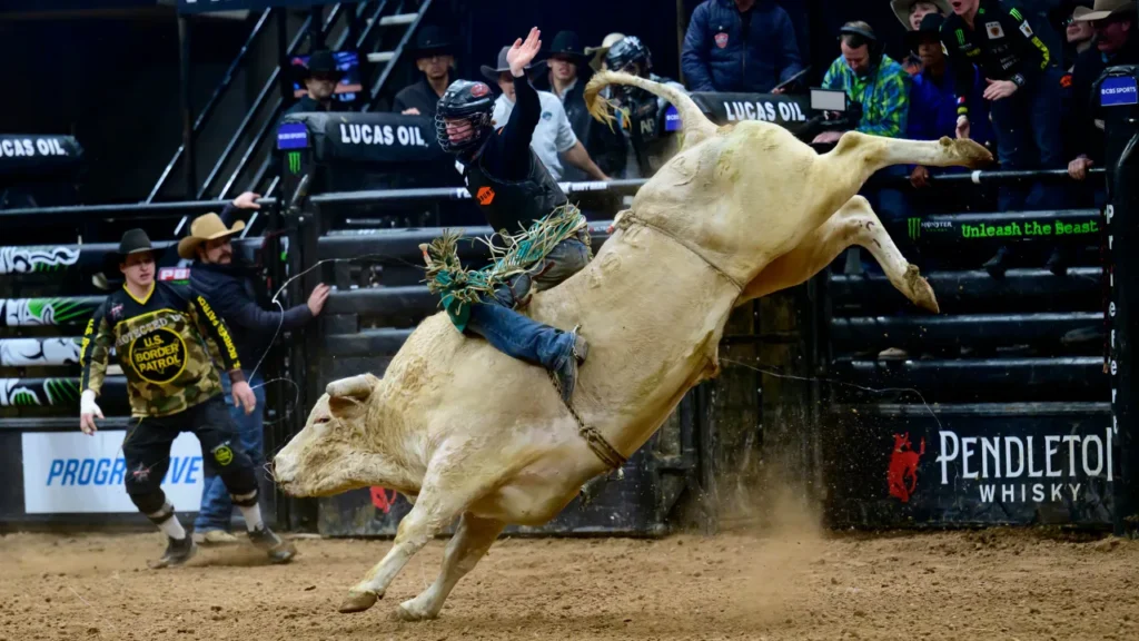 ‘Our mantra is: Be cowboy’: Professional bull riding is riding high on TikTok