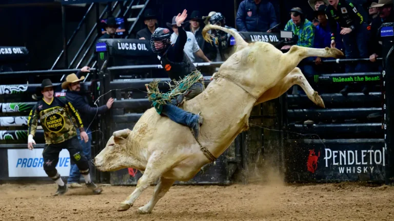 ‘Our mantra is: Be cowboy’: Professional bull riding is riding high on TikTok