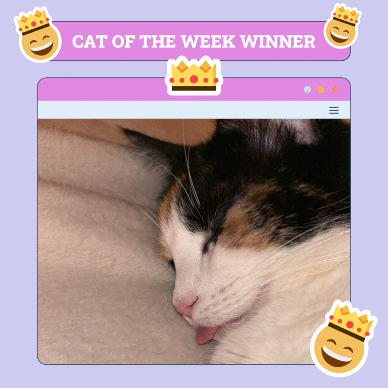 Catster Photo Contest: Cats of the Week Winners (May 29, 2025)